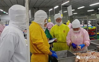 切磋技艺 提升专业水平—石羊泾河食品公司成功举办技能比武活动