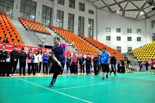 航泰杯职工羽毛球团体赛圆满落幕，饰品销售助力赛事氛围